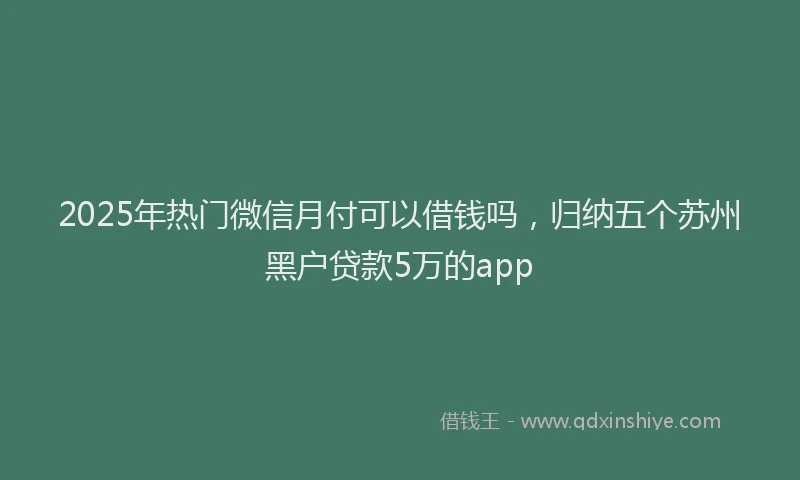 2025年热门微信月付可以借钱吗，归纳五个苏州黑户贷款5万的app