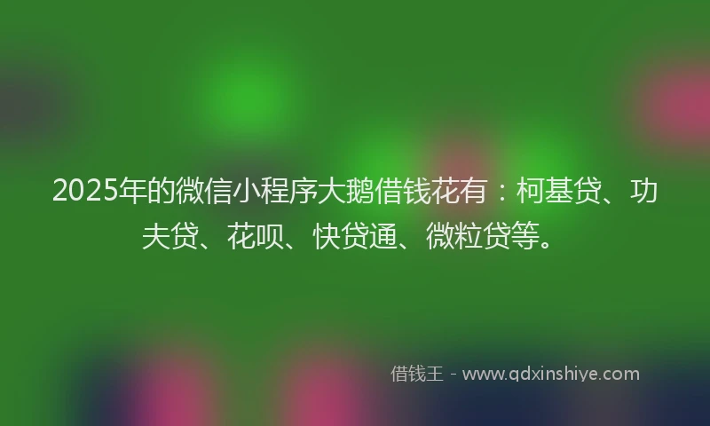 2025年的微信小程序大鹅借钱花有：柯基贷、功夫贷、花呗、快贷通、微粒贷等。