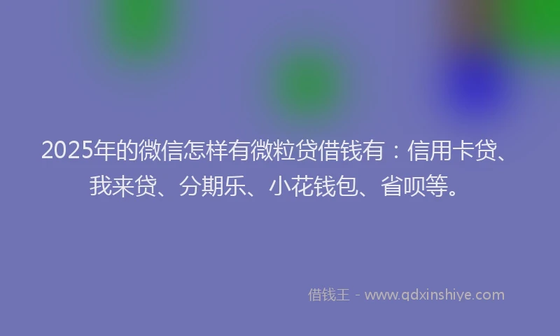 2025年的微信怎样有微粒贷借钱有：信用卡贷、我来贷、分期乐、小花钱包、省呗等。