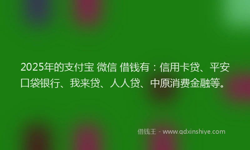 2025年的支付宝 微信 借钱有：信用卡贷、平安口袋银行、我来贷、人人贷、中原消费金融等。