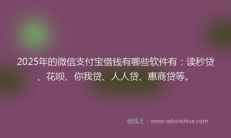 2025年的微信支付宝借钱有哪些软件有：读秒贷、花呗、你我贷、人人贷、惠商贷等。