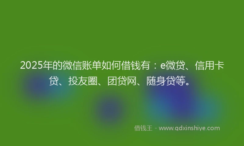 2025年的微信账单如何借钱有：e微贷、信用卡贷、投友圈、团贷网、随身贷等。