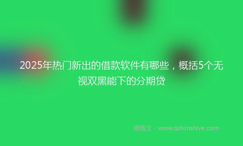 2025年热门新出的借款软件有哪些，概括5个无视双黑能下的分期贷