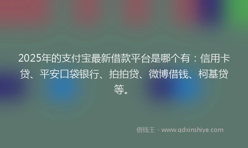 2025年的支付宝最新借款平台是哪个有：信用卡贷、平安口袋银行、拍拍贷、微博借钱、柯基贷等。