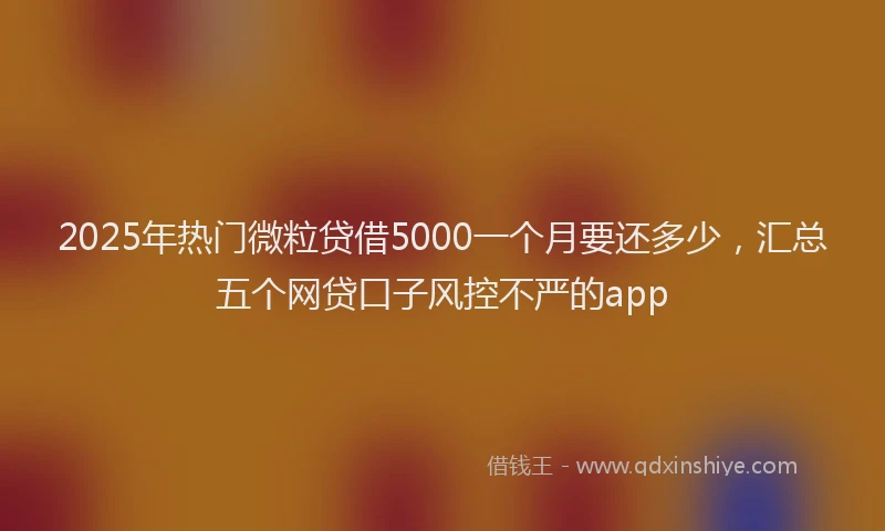 2025年热门微粒贷借5000一个月要还多少，汇总五个网贷口子风控不严的app