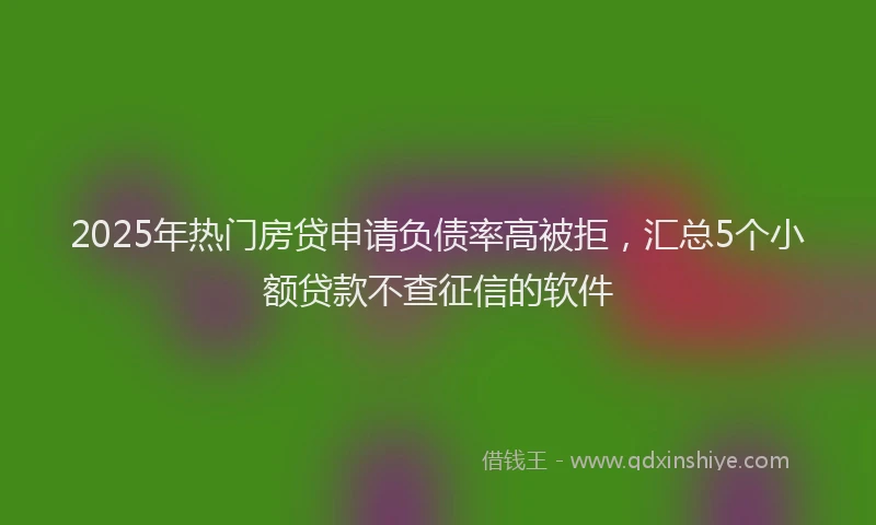 2025年热门房贷申请负债率高被拒，汇总5个小额贷款不查征信的软件