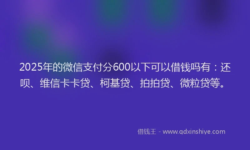 2025年的微信支付分600以下可以借钱吗有：还呗、维信卡卡贷、柯基贷、拍拍贷、微粒贷等。