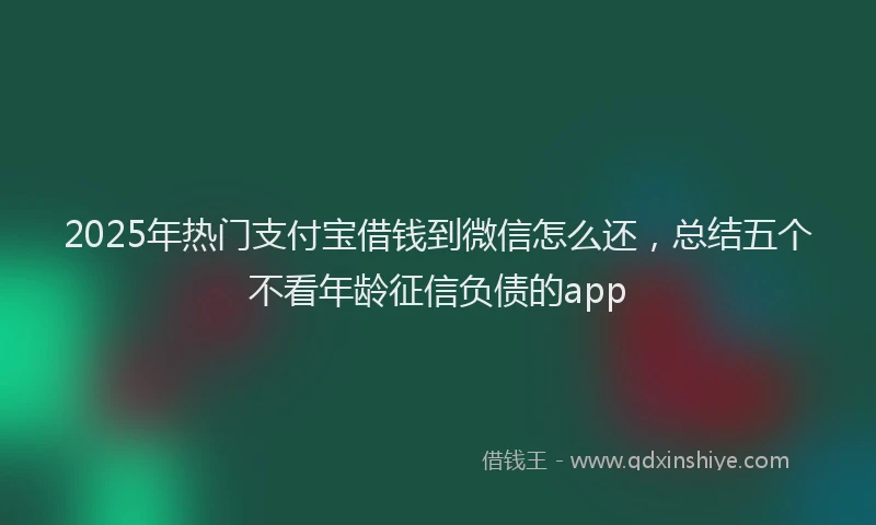 2025年热门支付宝借钱到微信怎么还，总结五个不看年龄征信负债的app
