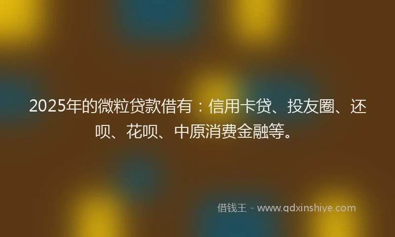 2025年的微粒贷款借有：信用卡贷、投友圈、还呗、花呗、中原消费金融等。