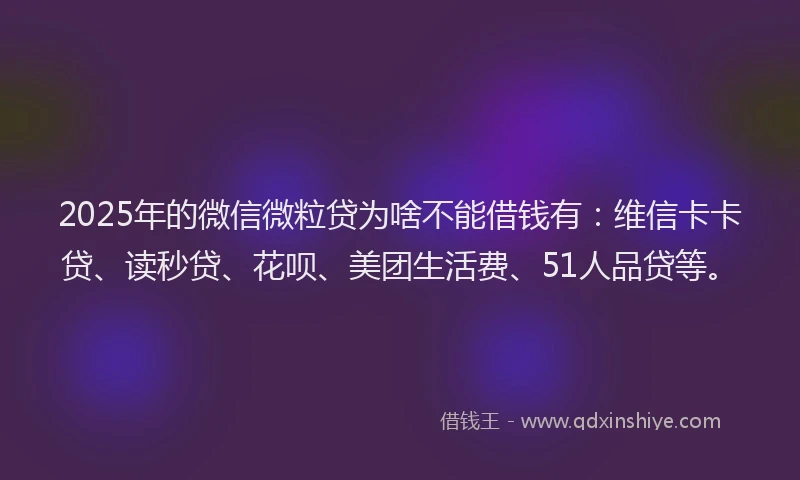 2025年的微信微粒贷为啥不能借钱有：维信卡卡贷、读秒贷、花呗、美团生活费、51人品贷等。