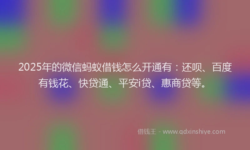 2025年的微信蚂蚁借钱怎么开通有：还呗、百度有钱花、快贷通、平安i贷、惠商贷等。