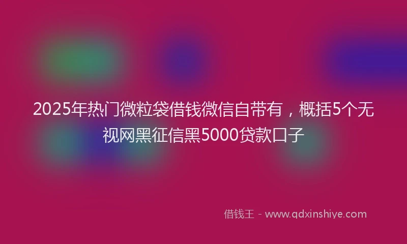 2025年热门微粒袋借钱微信自带有，概括5个无视网黑征信黑5000贷款口子