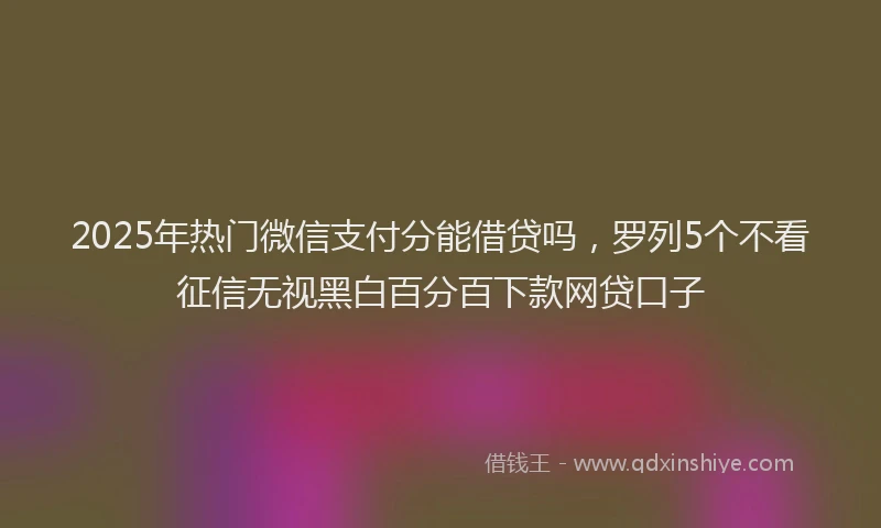2025年热门微信支付分能借贷吗，罗列5个不看征信无视黑白百分百下款网贷口子