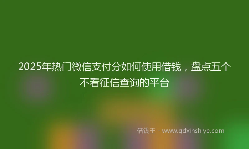 2025年热门微信支付分如何使用借钱，盘点五个不看征信查询的平台