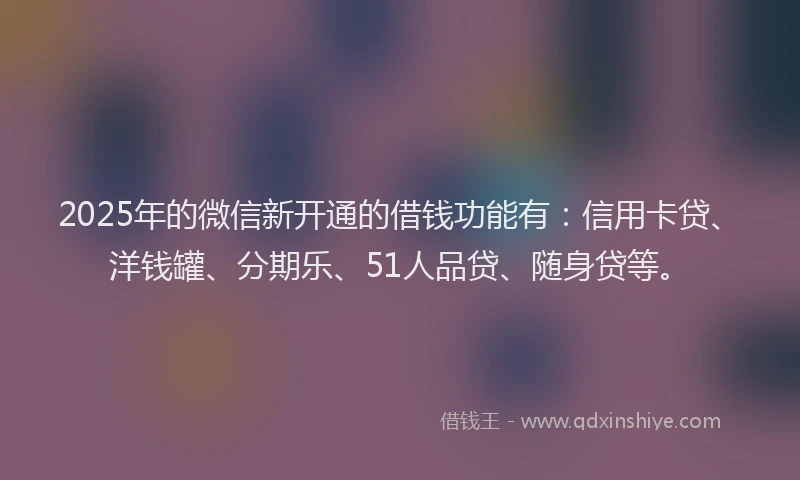 2025年的微信新开通的借钱功能有：信用卡贷、洋钱罐、分期乐、51人品贷、随身贷等。