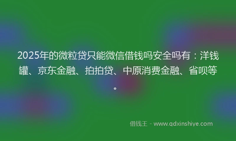 2025年的微粒贷只能微信借钱吗安全吗有：洋钱罐、京东金融、拍拍贷、中原消费金融、省呗等。