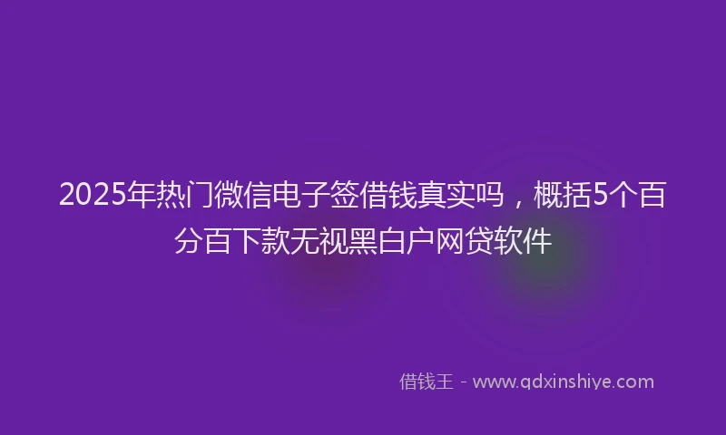 2025年热门微信电子签借钱真实吗，概括5个百分百下款无视黑白户网贷软件