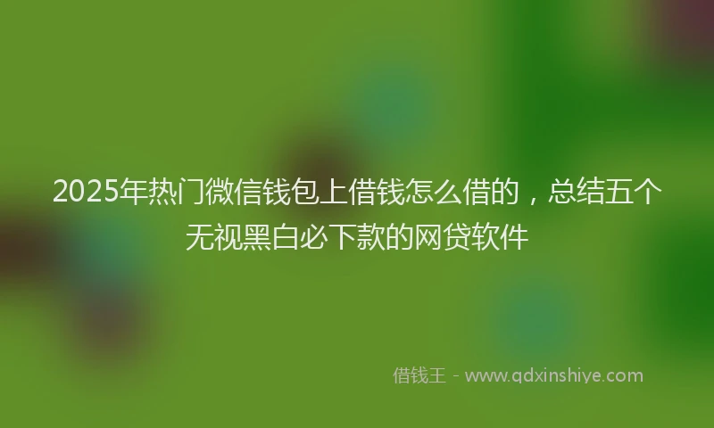 2025年热门微信钱包上借钱怎么借的，总结五个无视黑白必下款的网贷软件