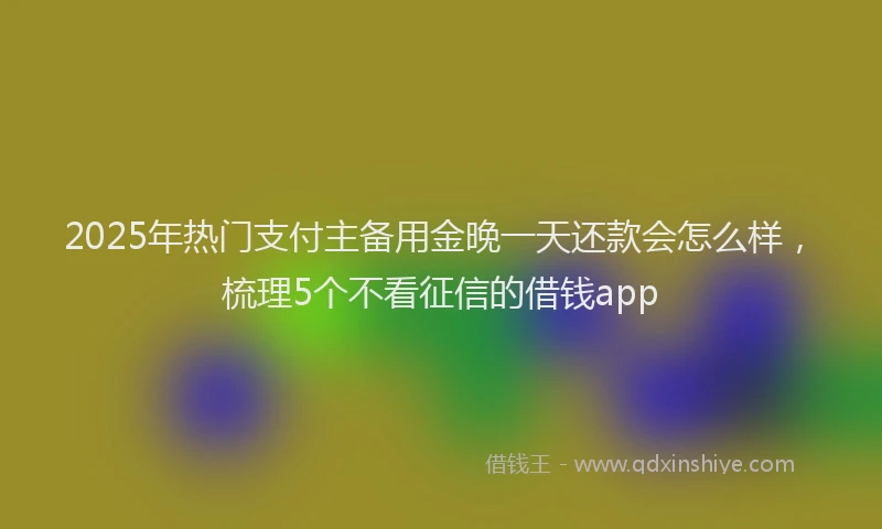 2025年热门支付主备用金晚一天还款会怎么样，梳理5个不看征信的借钱app