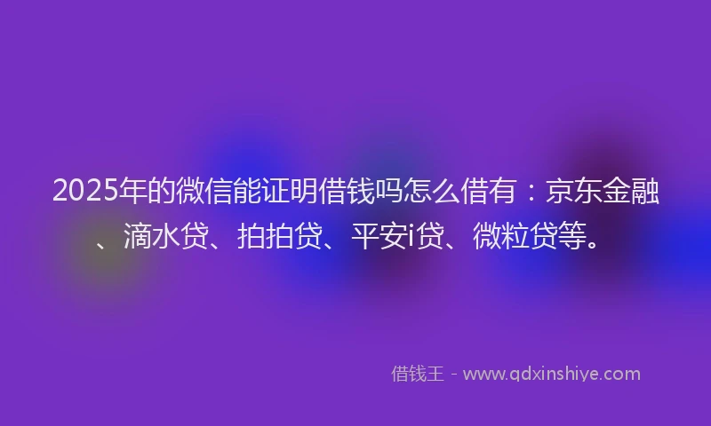 2025年的微信能证明借钱吗怎么借有：京东金融、滴水贷、拍拍贷、平安i贷、微粒贷等。