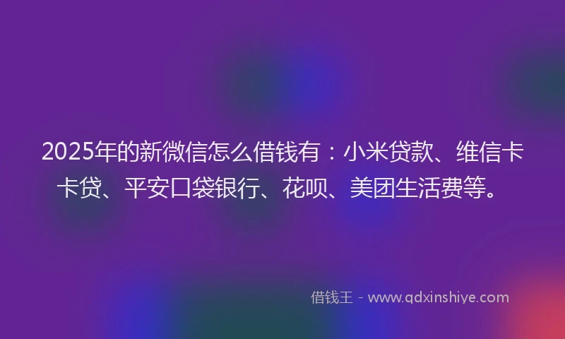 2025年的新微信怎么借钱有：小米贷款、维信卡卡贷、平安口袋银行、花呗、美团生活费等。