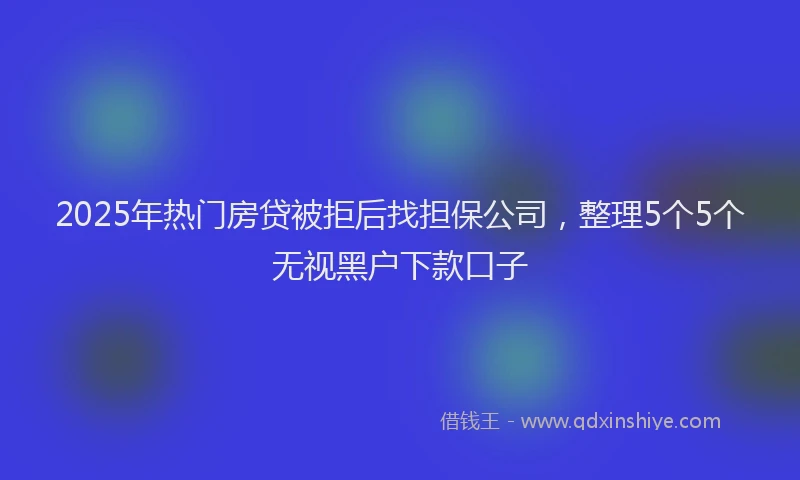 2025年热门房贷被拒后找担保公司，整理5个5个无视黑户下款口子