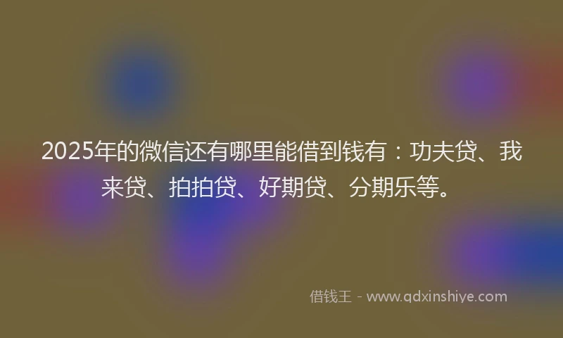 2025年的微信还有哪里能借到钱有：功夫贷、我来贷、拍拍贷、好期贷、分期乐等。