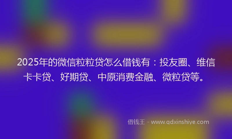 2025年的微信粒粒贷怎么借钱有：投友圈、维信卡卡贷、好期贷、中原消费金融、微粒贷等。