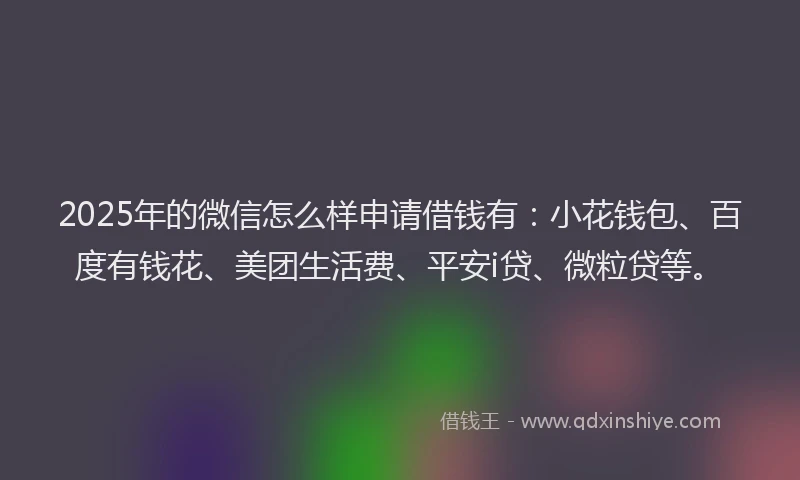 2025年的微信怎么样申请借钱有：小花钱包、百度有钱花、美团生活费、平安i贷、微粒贷等。