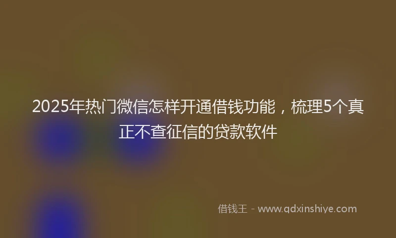 2025年热门微信怎样开通借钱功能，梳理5个真正不查征信的贷款软件