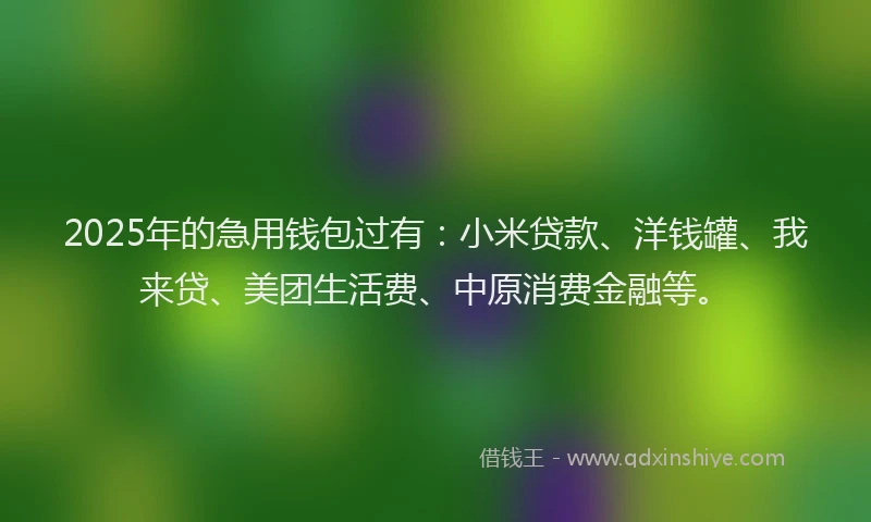 2025年的急用钱包过有：小米贷款、洋钱罐、我来贷、美团生活费、中原消费金融等。