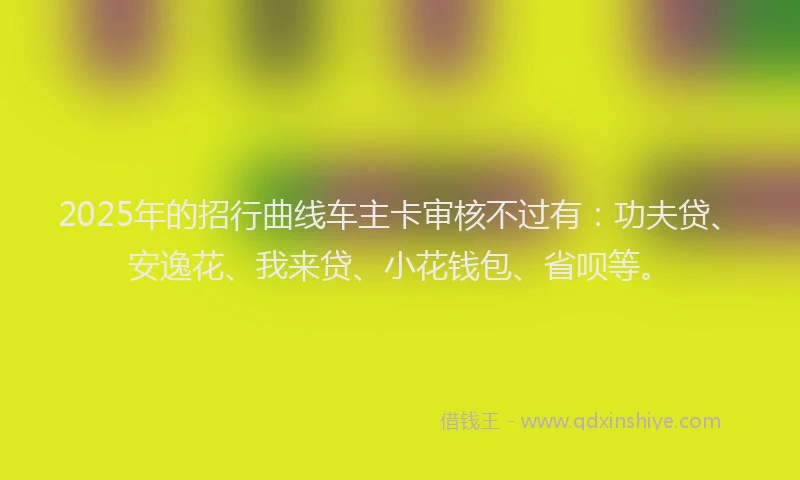2025年的招行曲线车主卡审核不过有：功夫贷、安逸花、我来贷、小花钱包、省呗等。