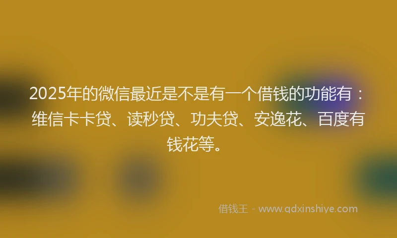 2025年的微信最近是不是有一个借钱的功能有：维信卡卡贷、读秒贷、功夫贷、安逸花、百度有钱花等。