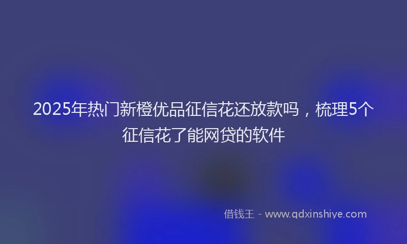 2025年热门新橙优品征信花还放款吗，梳理5个征信花了能网贷的软件