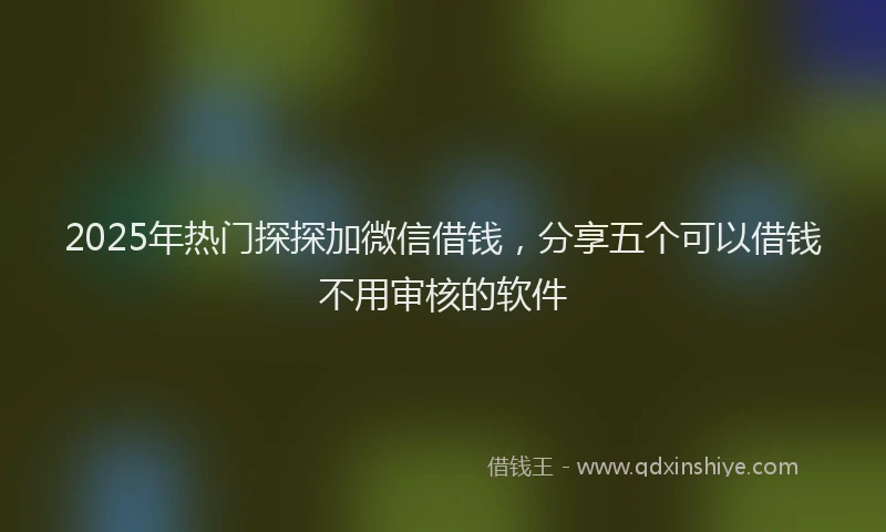 2025年热门探探加微信借钱，分享五个可以借钱不用审核的软件