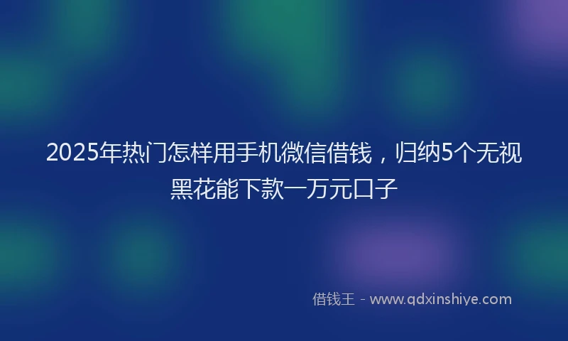 2025年热门怎样用手机微信借钱，归纳5个无视黑花能下款一万元口子