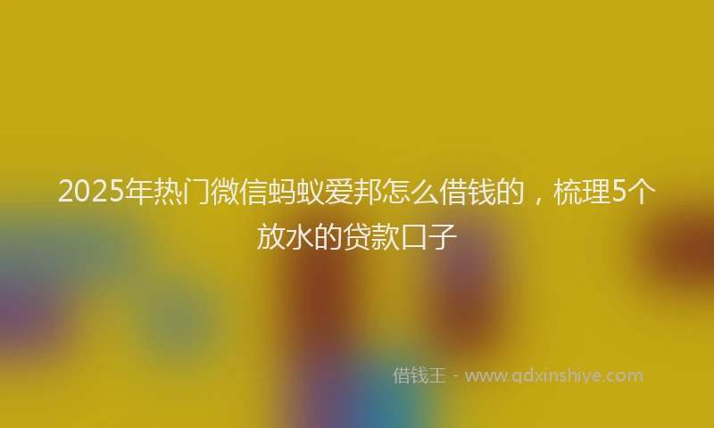 2025年热门微信蚂蚁爱邦怎么借钱的，梳理5个放水的贷款口子