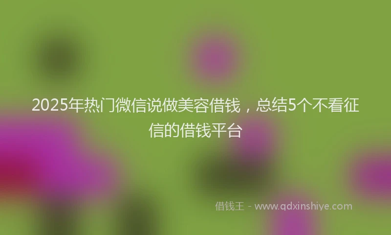 2025年热门微信说做美容借钱，总结5个不看征信的借钱平台