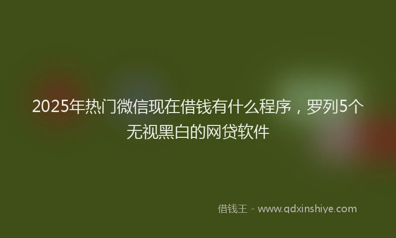 2025年热门微信现在借钱有什么程序，罗列5个无视黑白的网贷软件