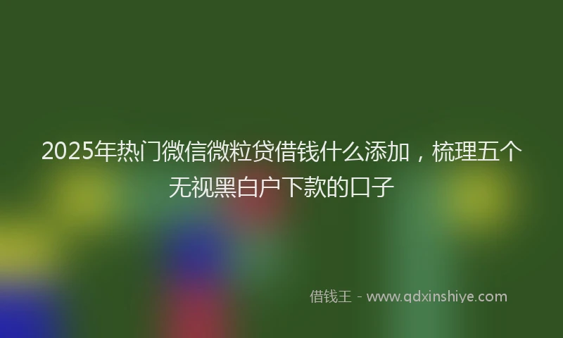2025年热门微信微粒贷借钱什么添加，梳理五个无视黑白户下款的口子