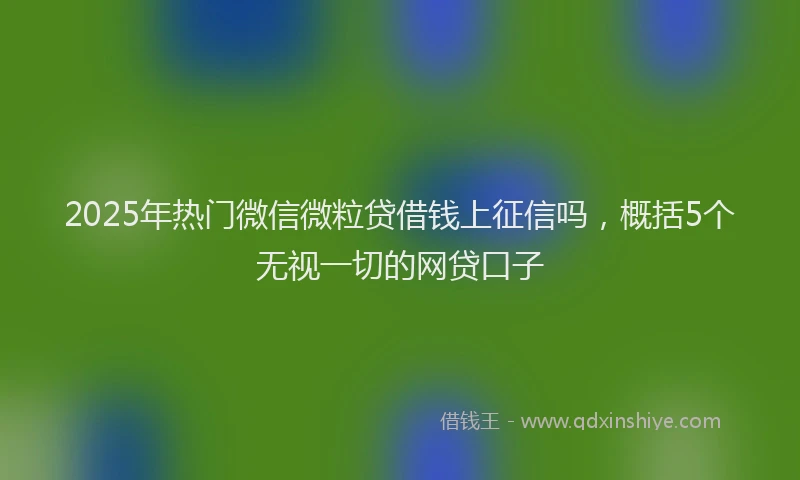 2025年热门微信微粒贷借钱上征信吗，概括5个无视一切的网贷口子