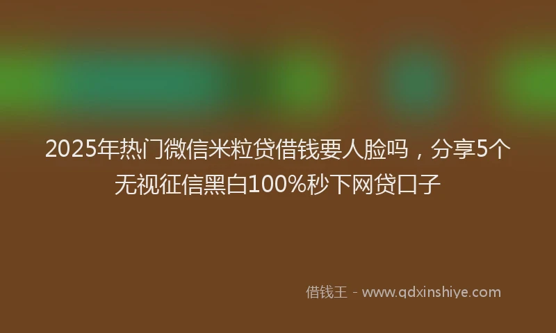 2025年热门微信米粒贷借钱要人脸吗，分享5个无视征信黑白100%秒下网贷口子