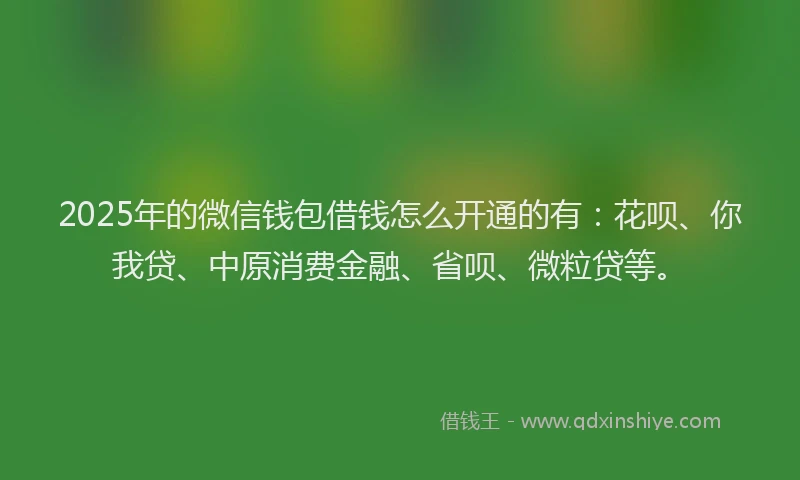 2025年的微信钱包借钱怎么开通的有：花呗、你我贷、中原消费金融、省呗、微粒贷等。
