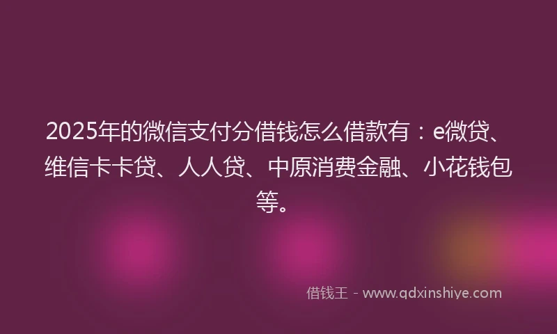 2025年的微信支付分借钱怎么借款有：e微贷、维信卡卡贷、人人贷、中原消费金融、小花钱包等。