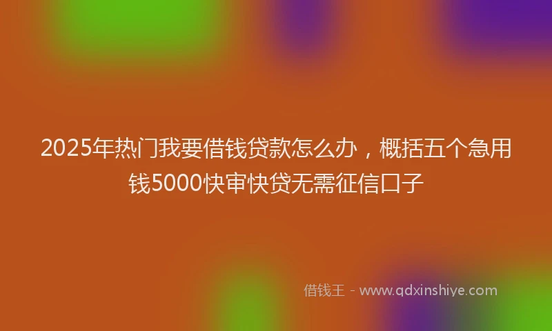 2025年热门我要借钱贷款怎么办，概括五个急用钱5000快审快贷无需征信口子