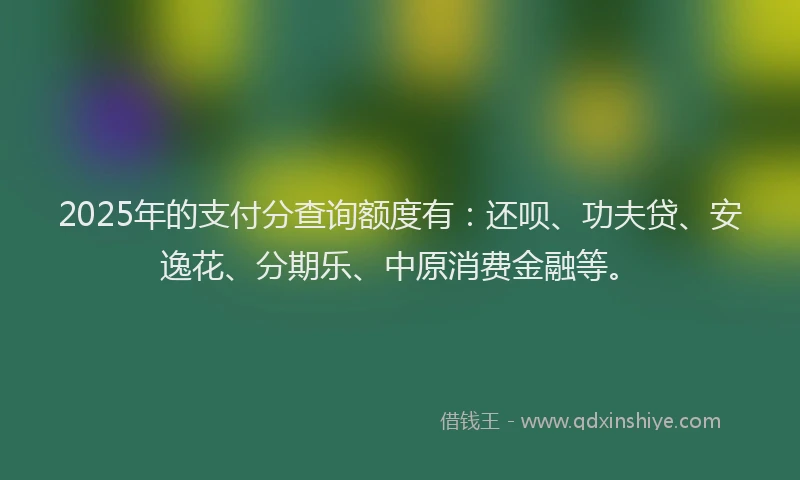2025年的支付分查询额度有：还呗、功夫贷、安逸花、分期乐、中原消费金融等。