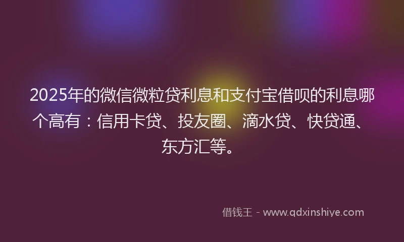 2025年的微信微粒贷利息和支付宝借呗的利息哪个高有：信用卡贷、投友圈、滴水贷、快贷通、东方汇等。