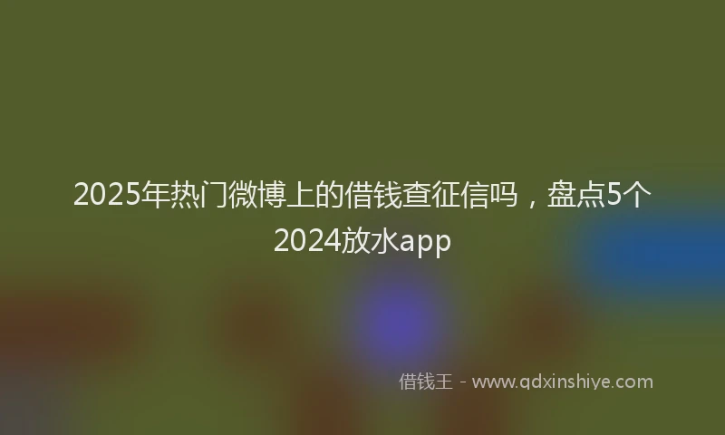 2025年热门微博上的借钱查征信吗，盘点5个2024放水app