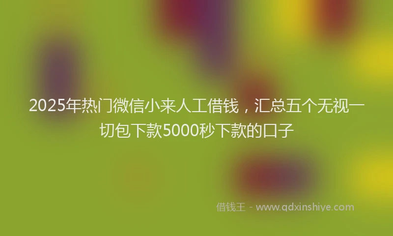 2025年热门微信小来人工借钱，汇总五个无视一切包下款5000秒下款的口子