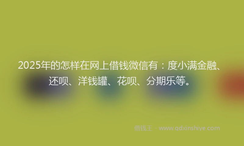 2025年的怎样在网上借钱微信有：度小满金融、还呗、洋钱罐、花呗、分期乐等。